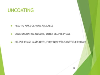 UNCOATING
 NEED TO MAKE GENOME AVAILABLE
 ONCE UNCOATING OCCURS, ENTER ECLIPSE PHASE
 ECLIPSE PHASE LASTS UNTIL FIRST NEW VIRUS PARTICLE FORMED
82
 
