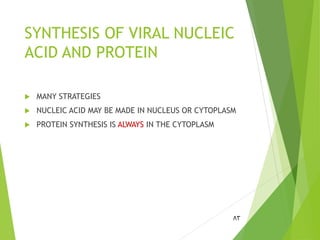 SYNTHESIS OF VIRAL NUCLEIC
ACID AND PROTEIN
 MANY STRATEGIES
 NUCLEIC ACID MAY BE MADE IN NUCLEUS OR CYTOPLASM
 PROTEIN SYNTHESIS IS ALWAYS IN THE CYTOPLASM
83
 