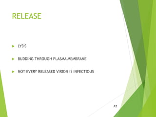 RELEASE
 LYSIS
 BUDDING THROUGH PLASMA MEMBRANE
 NOT EVERY RELEASED VIRION IS INFECTIOUS
86
 