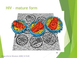 HIV – mature form
88
Briggs JA et al. Structure. (2006) 14:15-20
 
