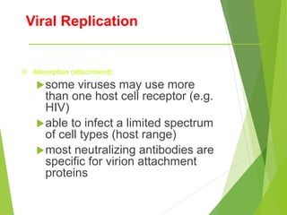 Viral Replication
i) Adsorption (attachment):
some viruses may use more
than one host cell receptor (e.g.
HIV)
able to infect a limited spectrum
of cell types (host range)
most neutralizing antibodies are
specific for virion attachment
proteins
 