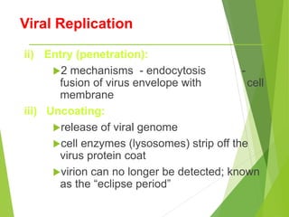 Viral Replication
ii) Entry (penetration):
2 mechanisms - endocytosis -
fusion of virus envelope with cell
membrane
iii) Uncoating:
release of viral genome
cell enzymes (lysosomes) strip off the
virus protein coat
virion can no longer be detected; known
as the “eclipse period”
 