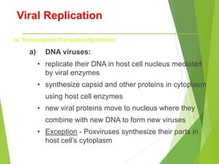 Viral Replication
iv) Transcription/Translation/Synthesis:
a) DNA viruses:
• replicate their DNA in host cell nucleus mediated
by viral enzymes
• synthesize capsid and other proteins in cytoplasm
using host cell enzymes
• new viral proteins move to nucleus where they
combine with new DNA to form new viruses
• Exception - Poxviruses synthesize their parts in
host cell’s cytoplasm
 