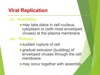 Viral Replication
vi) Assembly:
may take place in cell nucleus,
cytoplasm or (with most enveloped
viruses) at the plasma membrane
vii) Release:
sudden rupture of cell
gradual extrusion (budding) of
enveloped viruses through the cell
membrane
may occur together with assembly
 