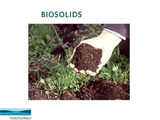 An Introduction To Wastewater And Sludge Principles | PPT