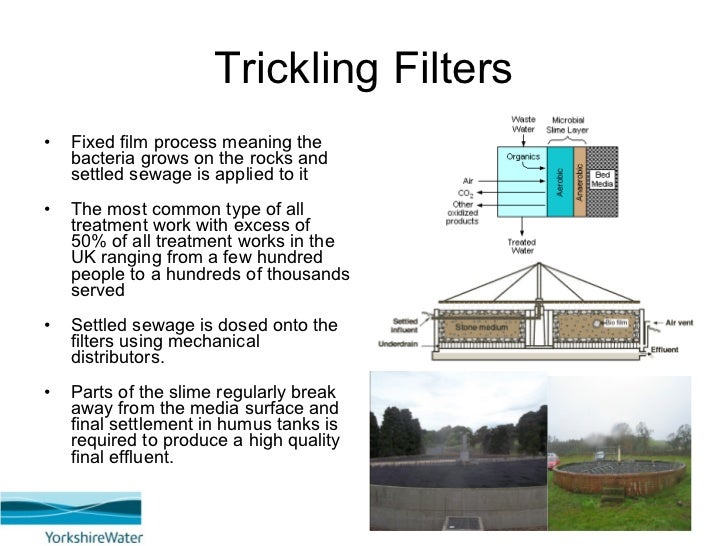 sand filtration septic system