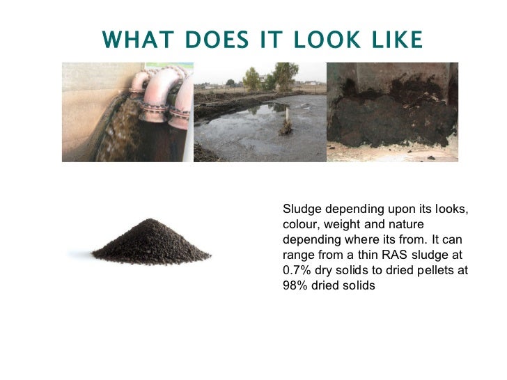 An Introduction To Wastewater And Sludge Principles