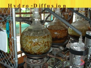 H y d r o - D if f u s io n
 