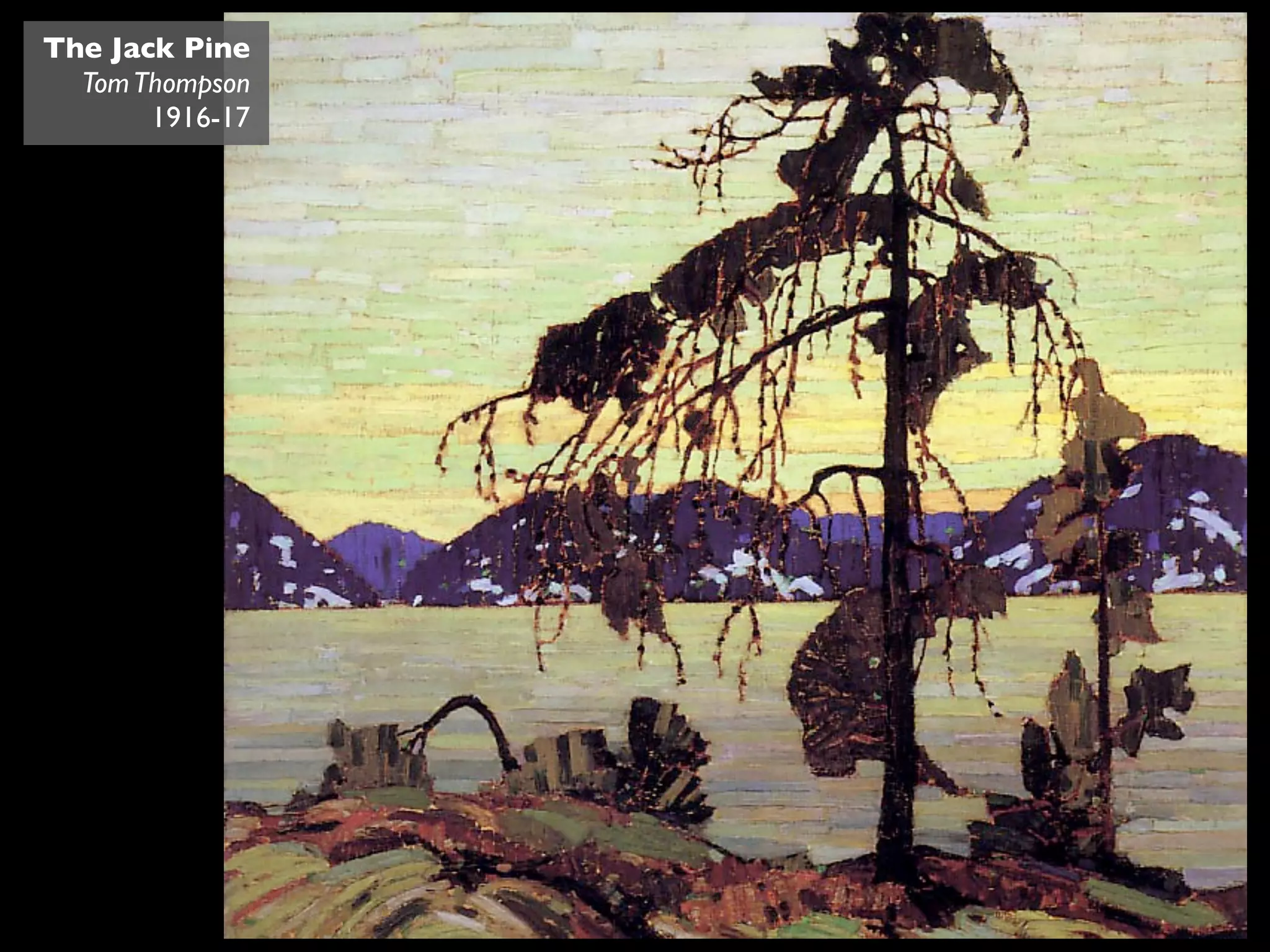The Jack Pine
  Tom Thompson
       1916-17
 