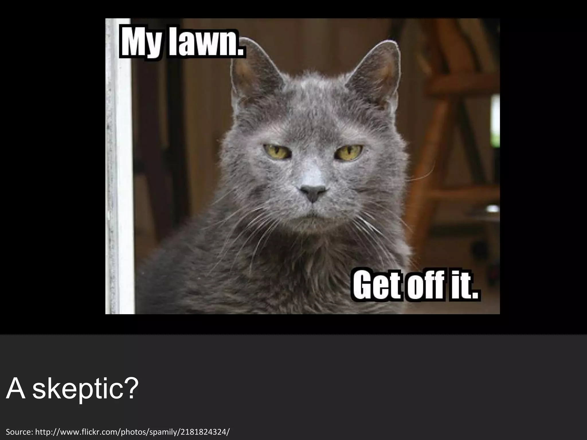 A skeptic?
Source: http://www.flickr.com/photos/spamily/2181824324/
 