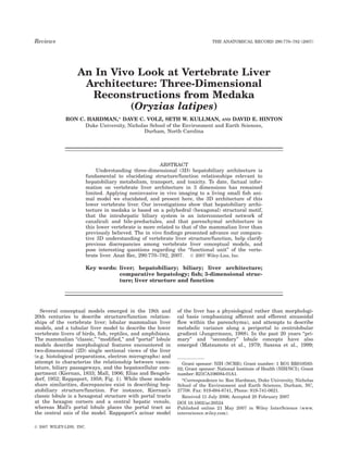 Reviews                                                                         THE ANATOMICAL RECORD 290:770–782 (2007)




                   An In Vivo Look at Vertebrate Liver
                    Architecture: Three-Dimensional
                     Reconstructions from Medaka
                            (Oryzias latipes)
             RON C. HARDMAN,* DAVE C. VOLZ, SETH W. KULLMAN, AND DAVID E. HINTON
                   Duke University, Nicholas School of the Environment and Earth Sciences,
                                           Durham, North Carolina




                                                     ABSTRACT
                           Understanding three-dimensional (3D) hepatobiliary architecture is
                      fundamental to elucidating structure/function relationships relevant to
                      hepatobiliary metabolism, transport, and toxicity. To date, factual infor-
                      mation on vertebrate liver architecture in 3 dimensions has remained
                      limited. Applying noninvasive in vivo imaging to a living small ﬁsh ani-
                      mal model we elucidated, and present here, the 3D architecture of this
                      lower vertebrate liver. Our investigations show that hepatobiliary archi-
                      tecture in medaka is based on a polyhedral (hexagonal) structural motif,
                      that the intrahepatic biliary system is an interconnected network of
                      canaliculi and bile-preductules, and that parenchymal architecture in
                      this lower vertebrate is more related to that of the mammalian liver than
                      previously believed. The in vivo ﬁndings presented advance our compara-
                      tive 3D understanding of vertebrate liver structure/function, help clarify
                      previous discrepancies among vertebrate liver conceptual models, and
                      pose interesting questions regarding the ‘‘functional unit’’ of the verte-
                      brate liver. Anat Rec, 290:770–782, 2007. Ó 2007 Wiley-Liss, Inc.

                      Key words: liver; hepatobiliary; biliary; liver architecture;
                                 comparative hepatology; ﬁsh; 3-dimensional struc-
                                 ture; liver structure and function




   Several conceptual models emerged in the 19th and            of the liver has a physiological rather than morphologi-
20th centuries to describe structure/function relation-         cal basis (emphasizing afferent and efferent sinusoidal
ships of the vertebrate liver; lobular mammalian liver          ﬂow within the parenchyma), and attempts to describe
models, and a tubular liver model to describe the lower         metabolic variance along a periportal to centrolobular
vertebrate livers of birds, ﬁsh, reptiles, and amphibians.      gradient (Jungermann, 1988). In the past 20 years ‘‘pri-
The mammalian ‘‘classic,’’ ‘‘modiﬁed,’’ and ‘‘portal’’ lobule   mary’’ and ‘‘secondary’’ lobule concepts have also
models describe morphological features encountered in           emerged (Matsumoto et al., 1979; Saxena et al., 1999;
two-dimensional (2D) single sectional views of the liver
(e.g. histological preparations, electron micrographs) and
attempt to characterize the relationship between vascu-           Grant sponsor: NIH (NCRR); Grant number: 1 RO1 RR018583-
lature, biliary passageways, and the hepatocellular com-        02; Grant sponsor: National Institute of Health (NIH/NCI); Grant
partment (Kiernan, 1833; Mall, 1906; Elias and Bengels-         number: R21CA106084-01A1.
dorf, 1952; Rappaport, 1958; Fig. 1). While these models          *Correspondence to: Ron Hardman, Duke University, Nicholas
share similarities, discrepancies exist in describing hep-      School of the Environment and Earth Sciences, Durham, NC,
atobiliary structure/function. For instance, Kiernan’s          27708. Fax: 919-684-8741, Phone: 919-741-0621.
classic lobule is a hexagonal structure with portal tracts        Received 11 July 2006; Accepted 20 February 2007
at the hexagon corners and a central hepatic venule,            DOI 10.1002/ar.20524
whereas Mall’s portal lobule places the portal tract as         Published online 21 May 2007 in Wiley InterScience (www.
the central axis of the model. Rappaport’s acinar model         interscience.wiley.com).

Ó 2007 WILEY-LISS, INC.
 