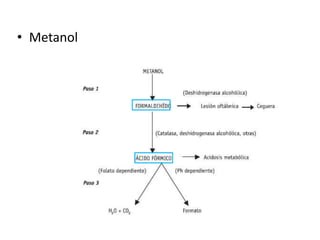• Metanol 
 