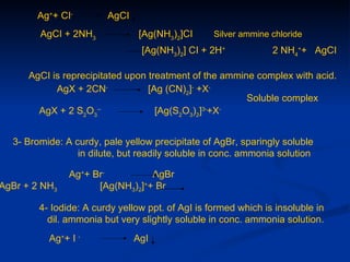 Ag++ CI-        AgCI
        AgCI + 2NH3             [Ag(NH3)2]CI      Silver ammine chloride
                                [Ag(NH3)2] CI + 2H+             2 NH4++ AgCI

      AgCI is reprecipitated upon treatment of the ammine complex with acid.
            AgX + 2CN-            [Ag (CN)2]- +X-
                                                        Soluble complex
        AgX + 2 S2O3--              [Ag(S2O3)2]3-+X-


  3- Bromide: A curdy, pale yellow precipitate of AgBr, sparingly soluble
                 in dilute, but readily soluble in conc. ammonia solution

               Ag++ Br-          AgBr
AgBr + 2 NH3         [Ag(NH3)2]++ Br

        4- Iodide: A curdy yellow ppt. of AgI is formed which is insoluble in
          dil. ammonia but very slightly soluble in conc. ammonia solution.
          Ag++ I -             AgI
 