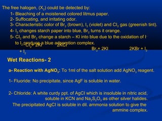 The free halogen, (X2) could be detected by:
1- Bleaching of a moistened colored litmus paper.
2- Suffocating, and irritating odor.
3- Characteristic color of Br2 (brown), I2 (violet) and CI2 gas (greenish tint).
4- I2 changes starch paper into blue, Br2 turns it orange.
5- CI2 and Br2 change a starch – KI into blue due to the oxidation of I-
to I2 produce a blue adsorption complex.CI2
+ 2KI 2KCI
+ I2
Br2
+ 2KI 2KBr + I2
2-Wet Reactions
a- Reaction with AgNO3: To 1ml of the salt solution add AgNO3 reagent.
1- Fluoride: No precipitate, since AgF is soluble in water.
2- Chloride: A white curdy ppt. of AgCI which is insoluble in nitric acid,
soluble in KCN and Na2S2O3 as other silver halides.
The precipitated AgCI is soluble in dil. ammonia solution to give the
ammine complex.
 