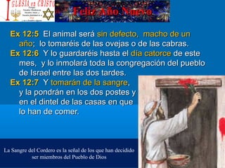 Feliz Año NuevoFeliz Año Nuevo
Ex 12:5Ex 12:5 El animal seráEl animal será sin defecto, macho de unsin defecto, macho de un
añoaño; lo tomaréis de las ovejas o de las cabras.; lo tomaréis de las ovejas o de las cabras.
Ex 12:6Ex 12:6 Y lo guardaréis hasta elY lo guardaréis hasta el día catorcedía catorce de estede este
mes, y lo inmolará toda la congregación del pueblomes, y lo inmolará toda la congregación del pueblo
de Israel entre las dos tardes.de Israel entre las dos tardes.
Ex 12:7Ex 12:7 YY tomarán de la sangretomarán de la sangre,,
y la pondrán en los dos postes yy la pondrán en los dos postes y
en el dintel de las casas en queen el dintel de las casas en que
lo han de comer.lo han de comer.
La Sangre del Cordero es la señal de los que han decidido
ser miembros del Pueblo de Dios
 