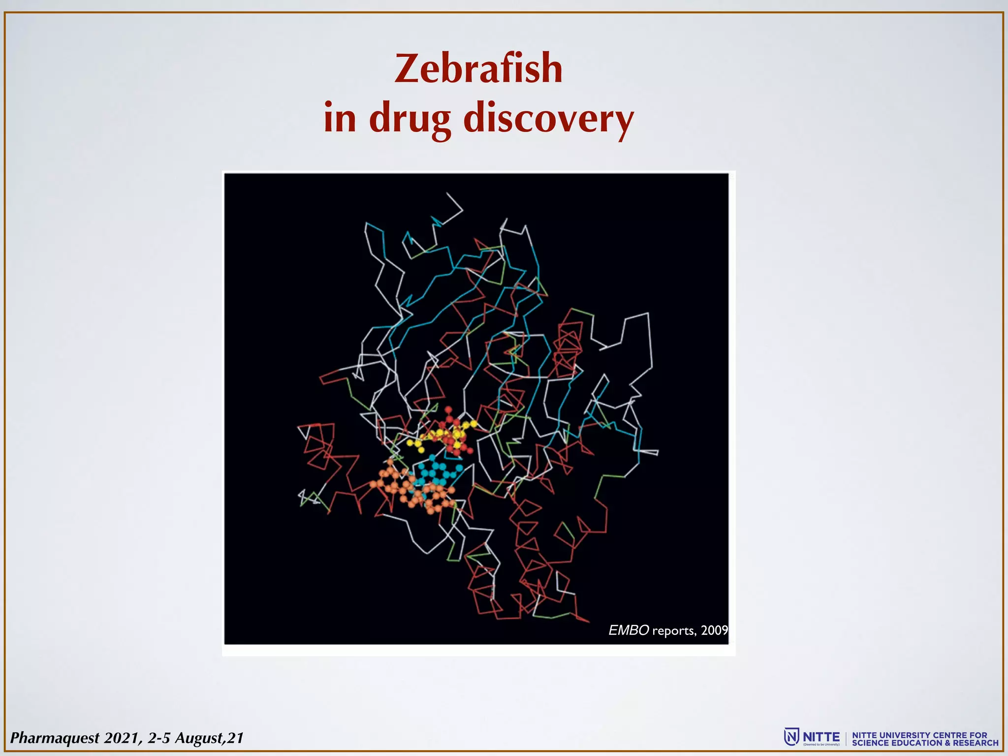 Zebrafish
in drug discovery
EMBO reports, 2009
Pharmaquest 2021, 2-5 August,21
 