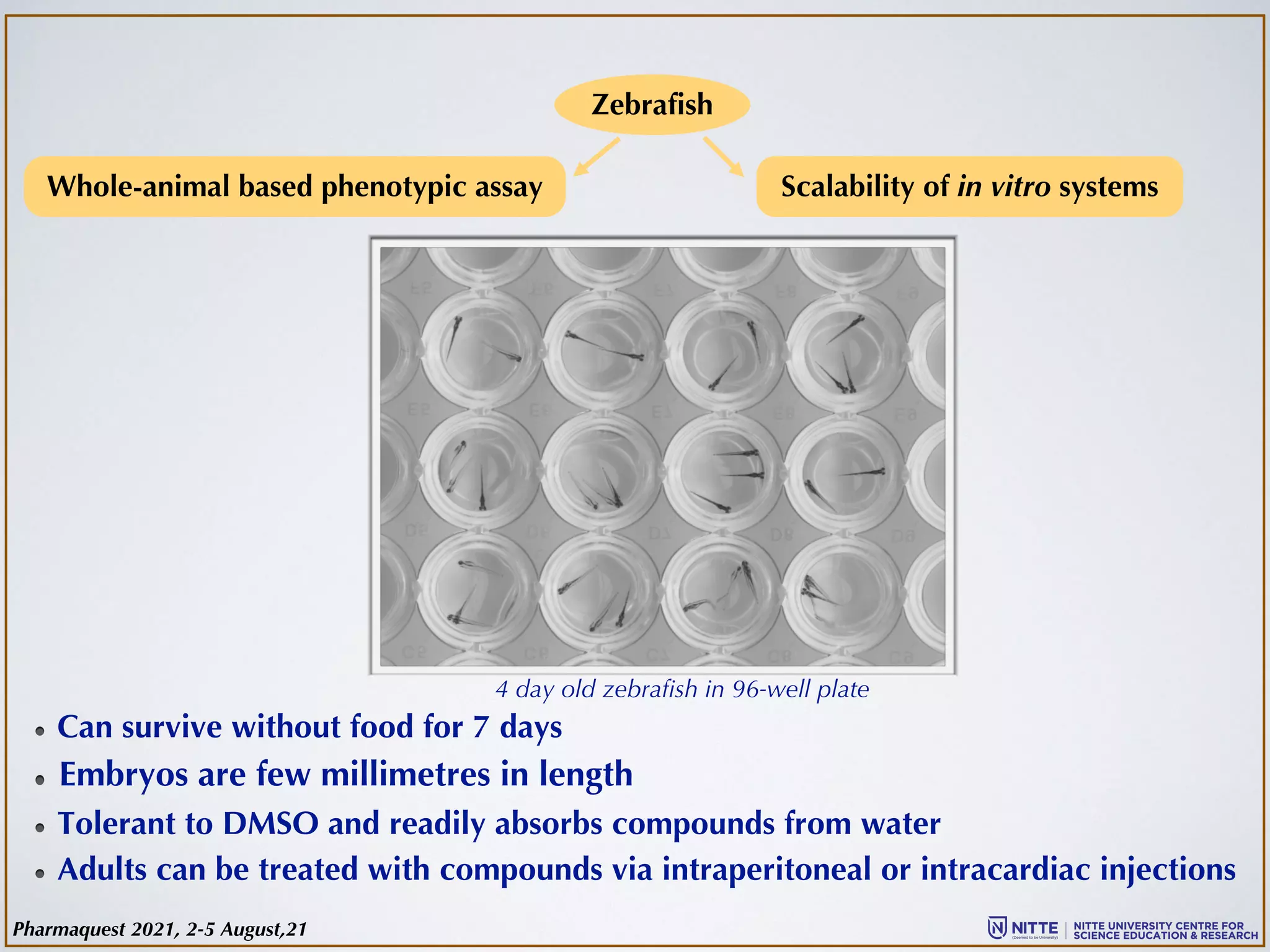 Zebrafish
Whole-animal based phenotypic assay Scalability of in vitro systems
4 day old zebrafish in 96-well plate
Can survive without food for 7 days
Embryos are few millimetres in length
Tolerant to DMSO and readily absorbs compounds from water
Adults can be treated with compounds via intraperitoneal or intracardiac injections
Pharmaquest 2021, 2-5 August,21
 