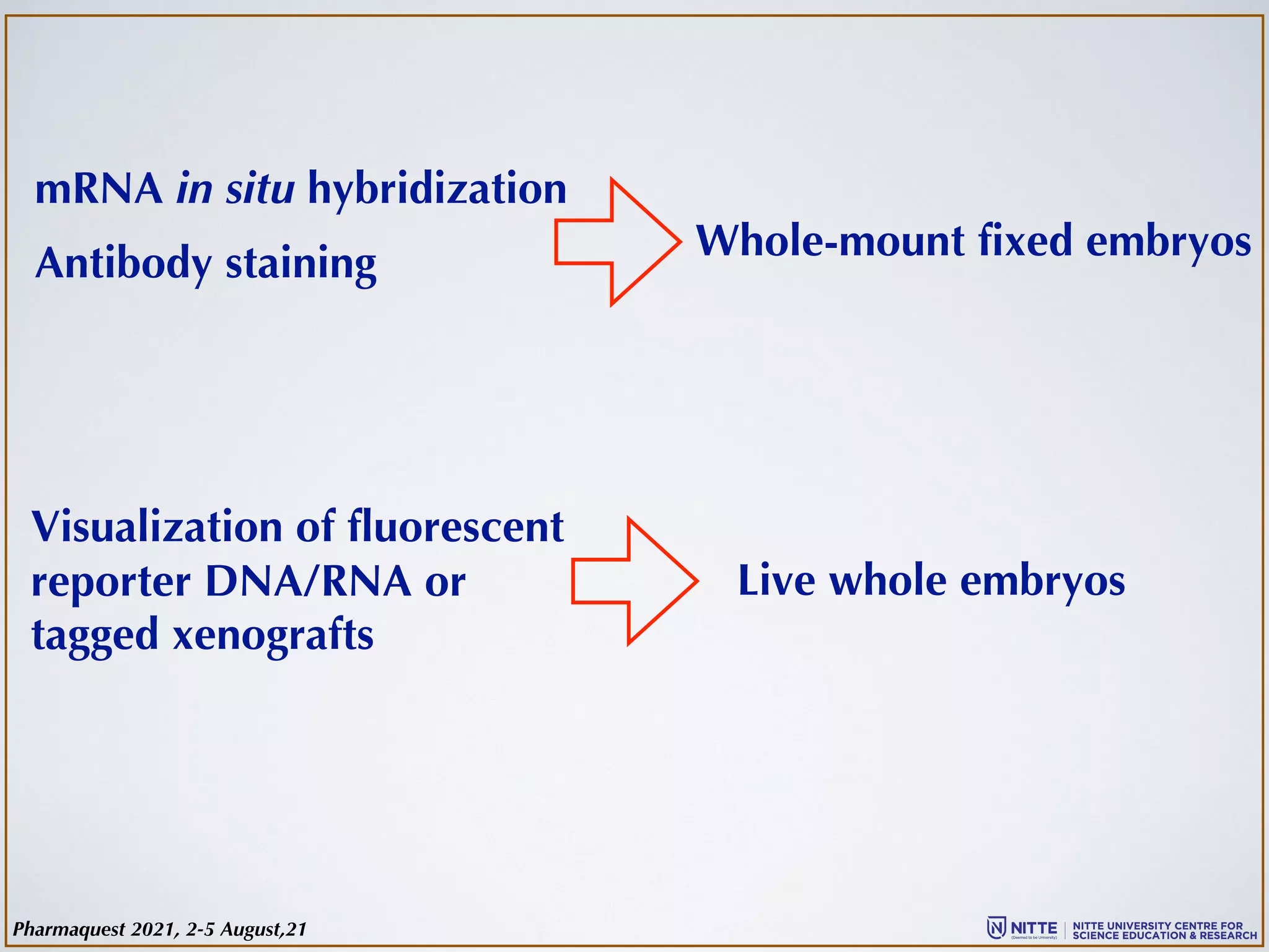 mRNA in situ hybridization
Antibody staining
Visualization of fluorescent
reporter DNA/RNA or
tagged xenografts
Whole-mount fixed embryos
Live whole embryos
Pharmaquest 2021, 2-5 August,21
 