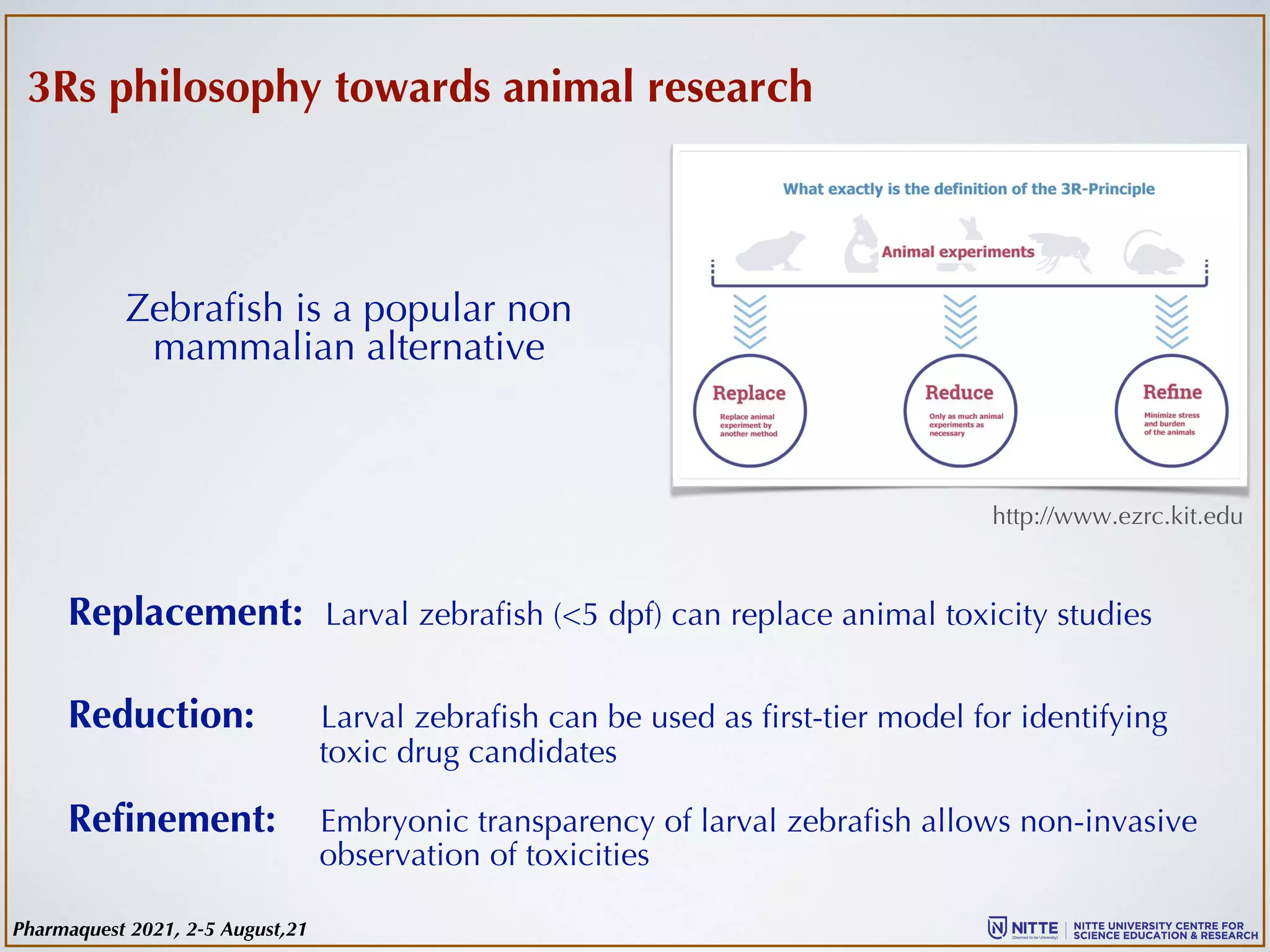Pharmaquest 2021, 2-5 August,21
http://www.ezrc.kit.edu
3Rs philosophy towards animal research
Replacement: Larval zebrafish (<5 dpf) can replace animal toxicity studies
Reduction: Larval zebrafish can be used as first-tier model for identifying
toxic drug candidates
Refinement: Embryonic transparency of larval zebrafish allows non-invasive
observation of toxicities
Zebrafish is a popular non
mammalian alternative
 
