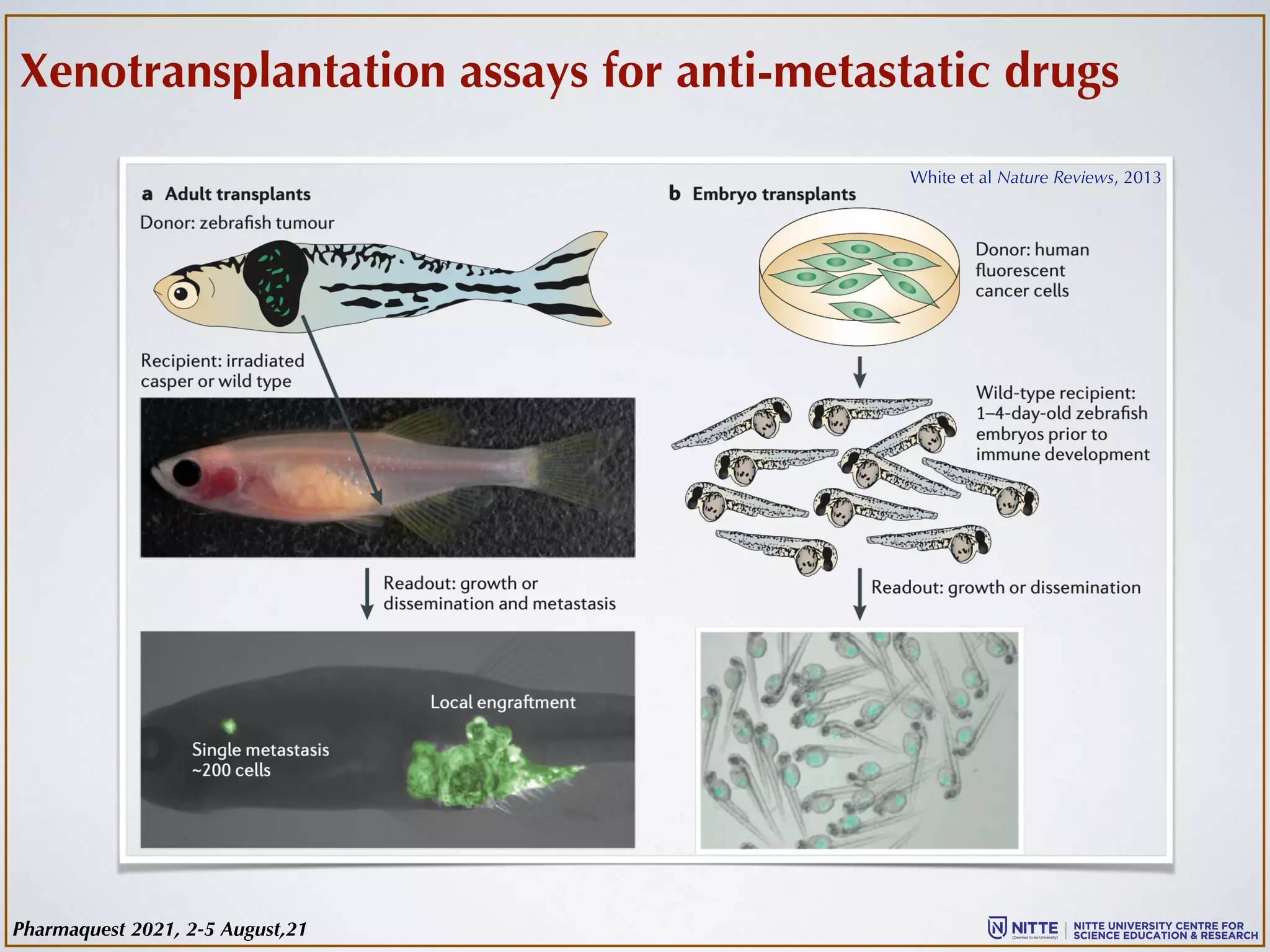 Xenotransplantation assays for anti-metastatic drugs
White et al Nature Reviews, 2013
Pharmaquest 2021, 2-5 August,21
 