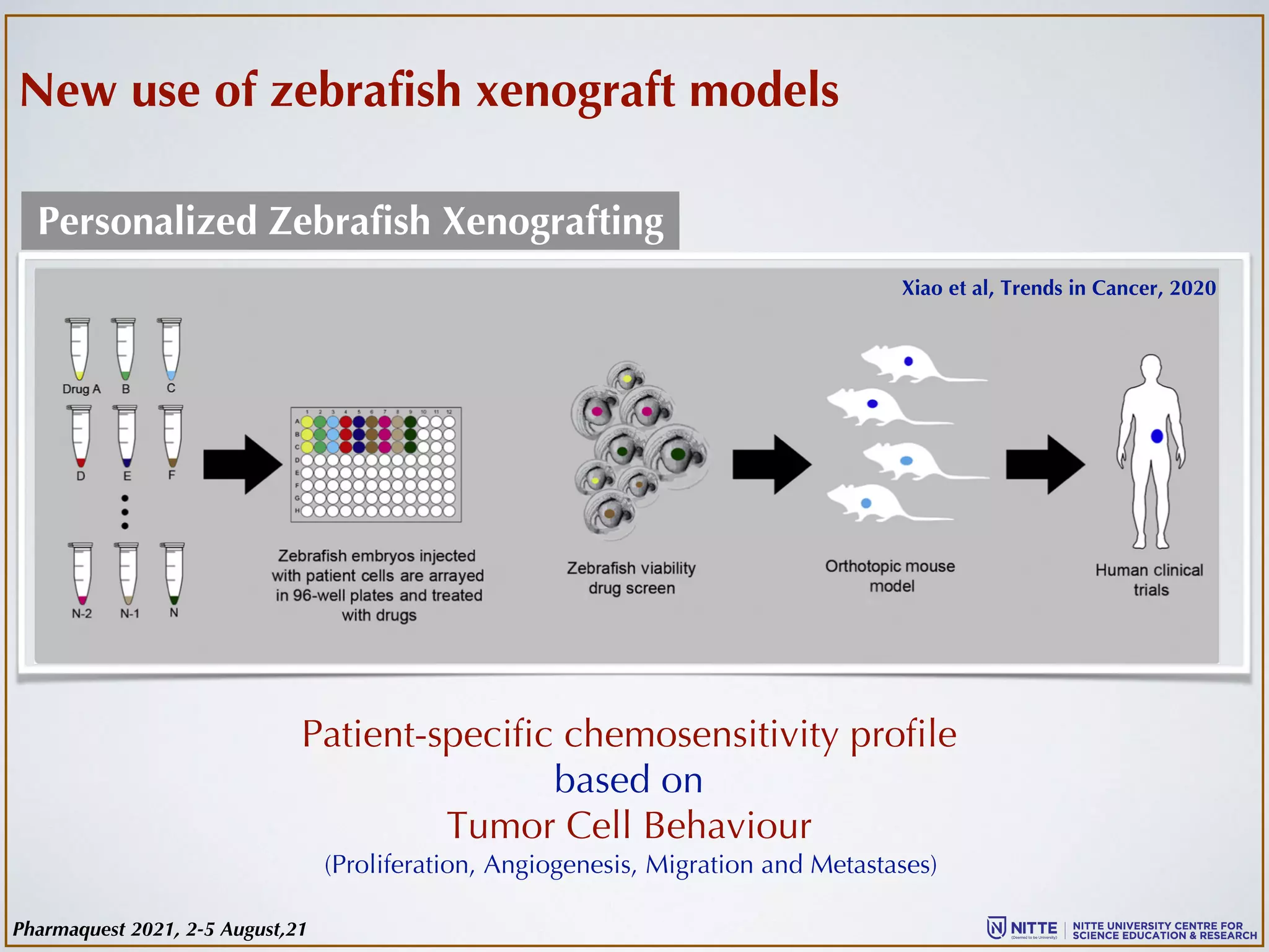 New use of zebrafish xenograft models
Patient-specific chemosensitivity profile
based on
Tumor Cell Behaviour
(Proliferation, Angiogenesis, Migration and Metastases)
Xiao et al, Trends in Cancer, 2020
Personalized Zebrafish Xenografting
Pharmaquest 2021, 2-5 August,21
 