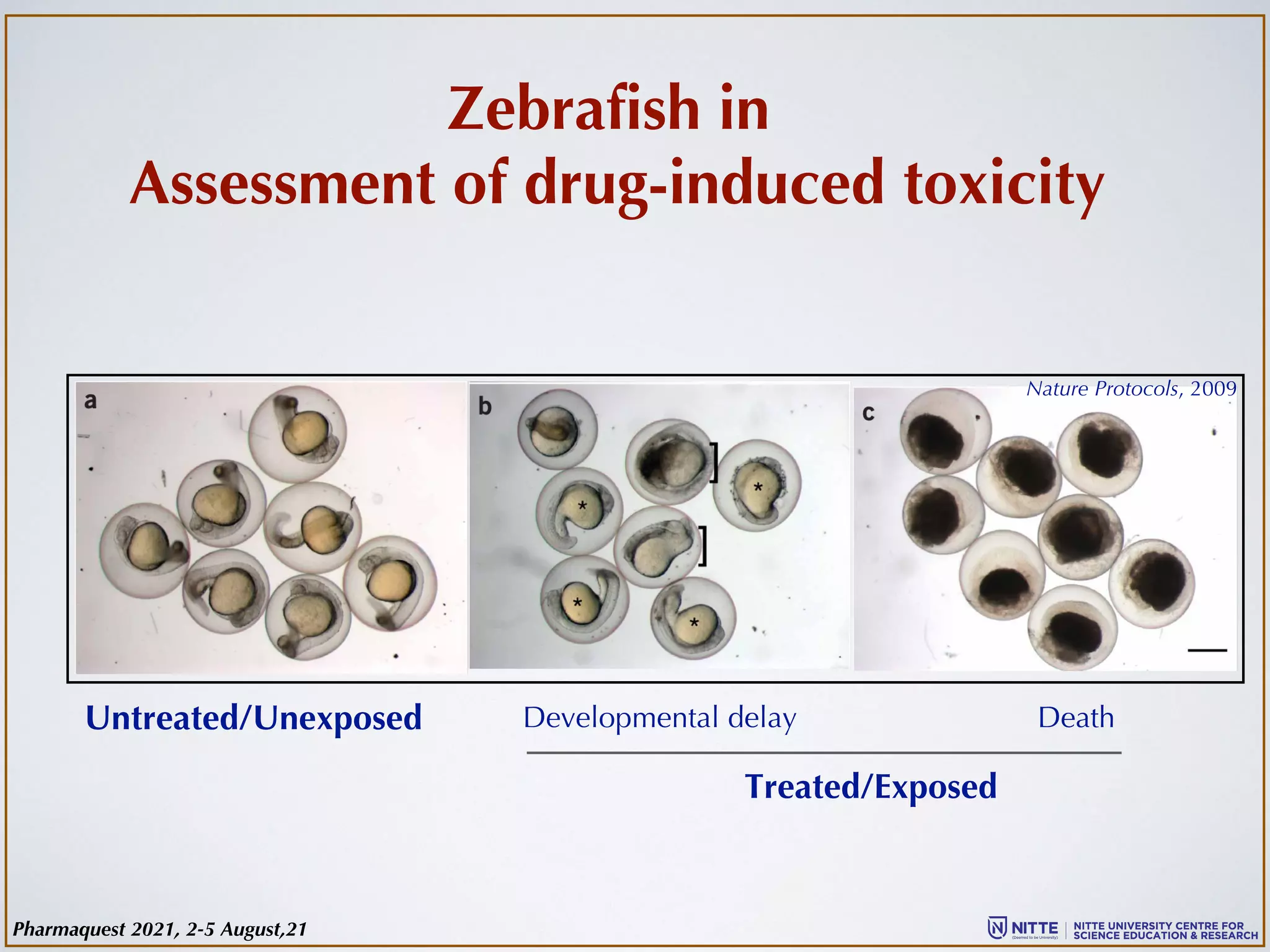 Untreated/Unexposed Developmental delay Death
Treated/Exposed
Zebrafish in
Assessment of drug-induced toxicity
Nature Protocols, 2009
Pharmaquest 2021, 2-5 August,21
 