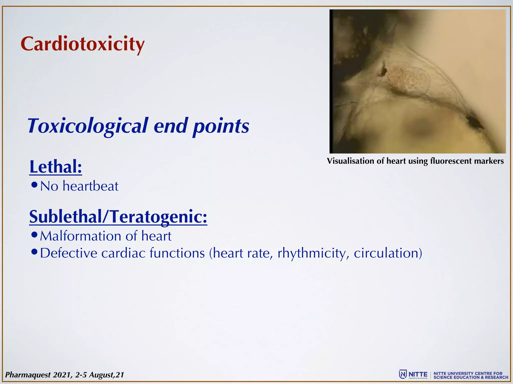 Toxicological end points
Lethal:
•No heartbeat
Sublethal/Teratogenic:
•Malformation of heart
•Defective cardiac functions (heart rate, rhythmicity, circulation)
Cardiotoxicity
Visualisation of heart using fluorescent markers
Pharmaquest 2021, 2-5 August,21
 