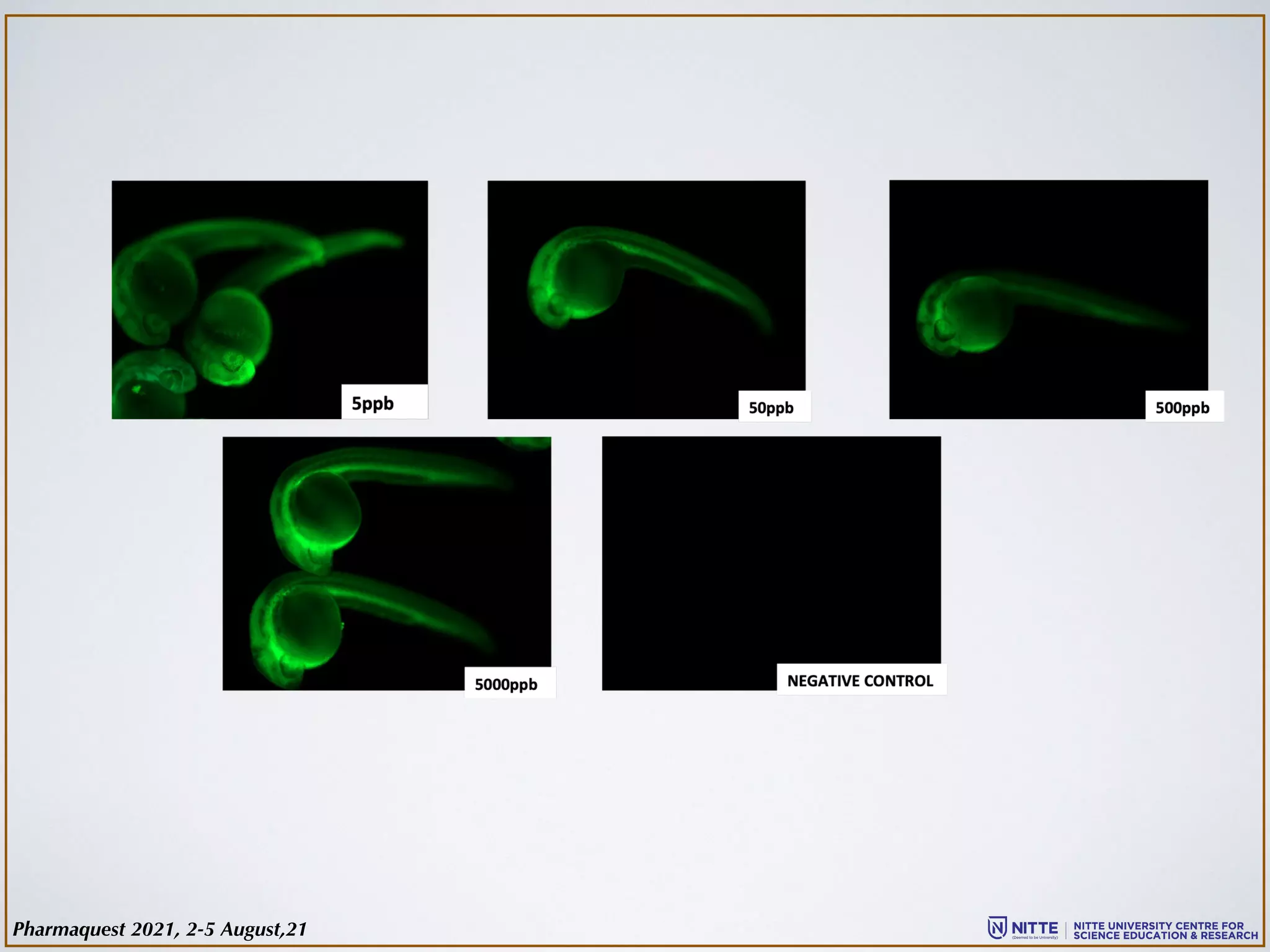 Pharmaquest 2021, 2-5 August,21
 