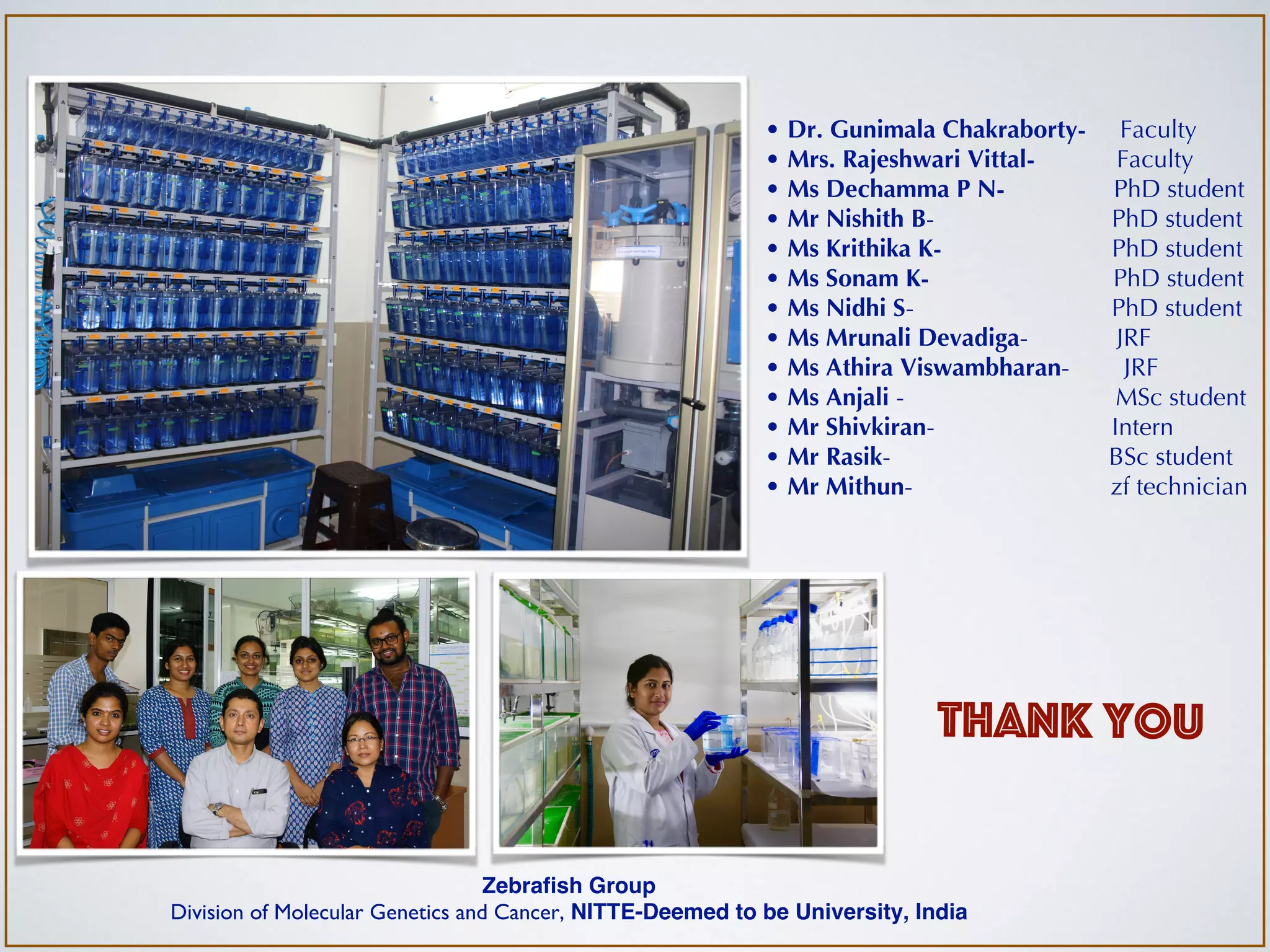 THANK YOU
Zebrafish Group
Division of Molecular Genetics and Cancer, NITTE-Deemed to be University, India
• Dr. Gunimala Chakraborty- Faculty
• Mrs. Rajeshwari Vittal- Faculty
• Ms Dechamma P N- PhD student
• Mr Nishith B- PhD student
• Ms Krithika K- PhD student
• Ms Sonam K- PhD student
• Ms Nidhi S- PhD student
• Ms Mrunali Devadiga- JRF
• Ms Athira Viswambharan- JRF
• Ms Anjali - MSc student
• Mr Shivkiran- Intern
• Mr Rasik- BSc student
• Mr Mithun- zf technician
 