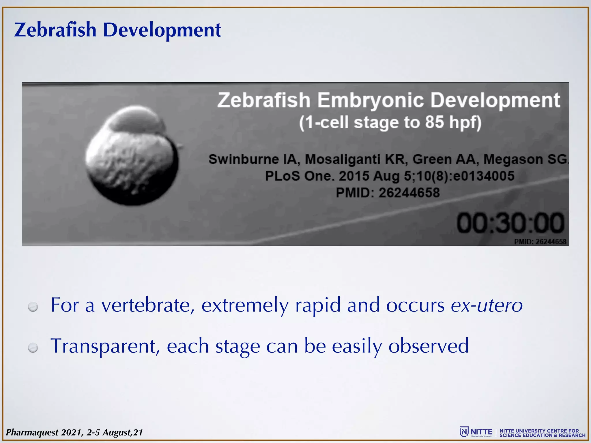 Zebrafish Development
For a vertebrate, extremely rapid and occurs ex-utero
Transparent, each stage can be easily observed
Pharmaquest 2021, 2-5 August,21
 