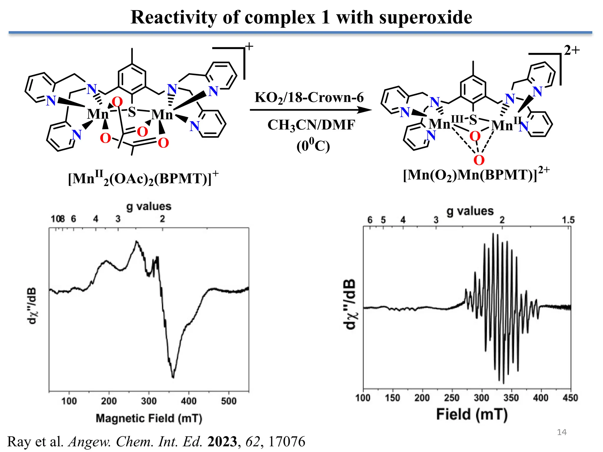 14
Reactivity of complex 1 with superoxide
N
N
N
N
N
N
S
Mn Mn
O O
O
O
[MnII
2(OAc)2(BPMT)]+
N N
N
N
N
N
S
MnIII
MnII
O
O
[Mn(O2)Mn(BPMT)]2+
KO2/18-Crown-6
CH3CN/DMF
(00
C)
+ 2+
Ray et al. Angew. Chem. Int. Ed. 2023, 62, 17076
 