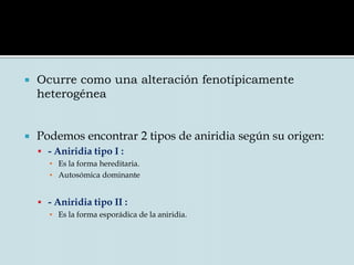 Anatomía del IrisDentro del estroma del Iris están:EsfínterMúsculos dilatadoresEl riego sanguíneo procede del círculo mayor del irisInervación sensitiva es por medio de fibras en los nervios ciliares