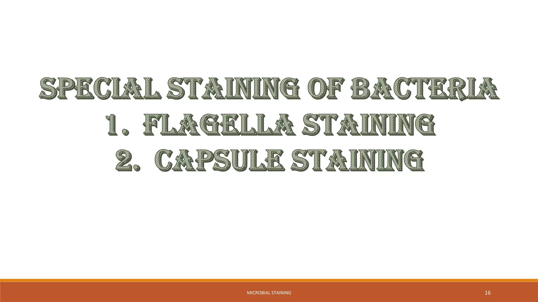 16
MICROBIAL STAINING
 