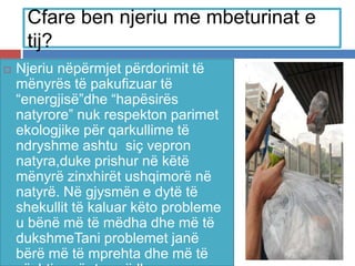 Cfare ben njeriu me mbeturinat e
tij?
 Njeriu nëpërmjet përdorimit të
mënyrës të pakufizuar të
“energjisë”dhe “hapësirës
natyrore” nuk respekton parimet
ekologjike për qarkullime të
ndryshme ashtu siç vepron
natyra,duke prishur në këtë
mënyrë zinxhirët ushqimorë në
natyrë. Në gjysmën e dytë të
shekullit të kaluar këto probleme
u bënë më të mëdha dhe më të
dukshmeTani problemet janë
bërë më të mprehta dhe më të
 