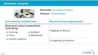 Anisakis Simplex | PDF
