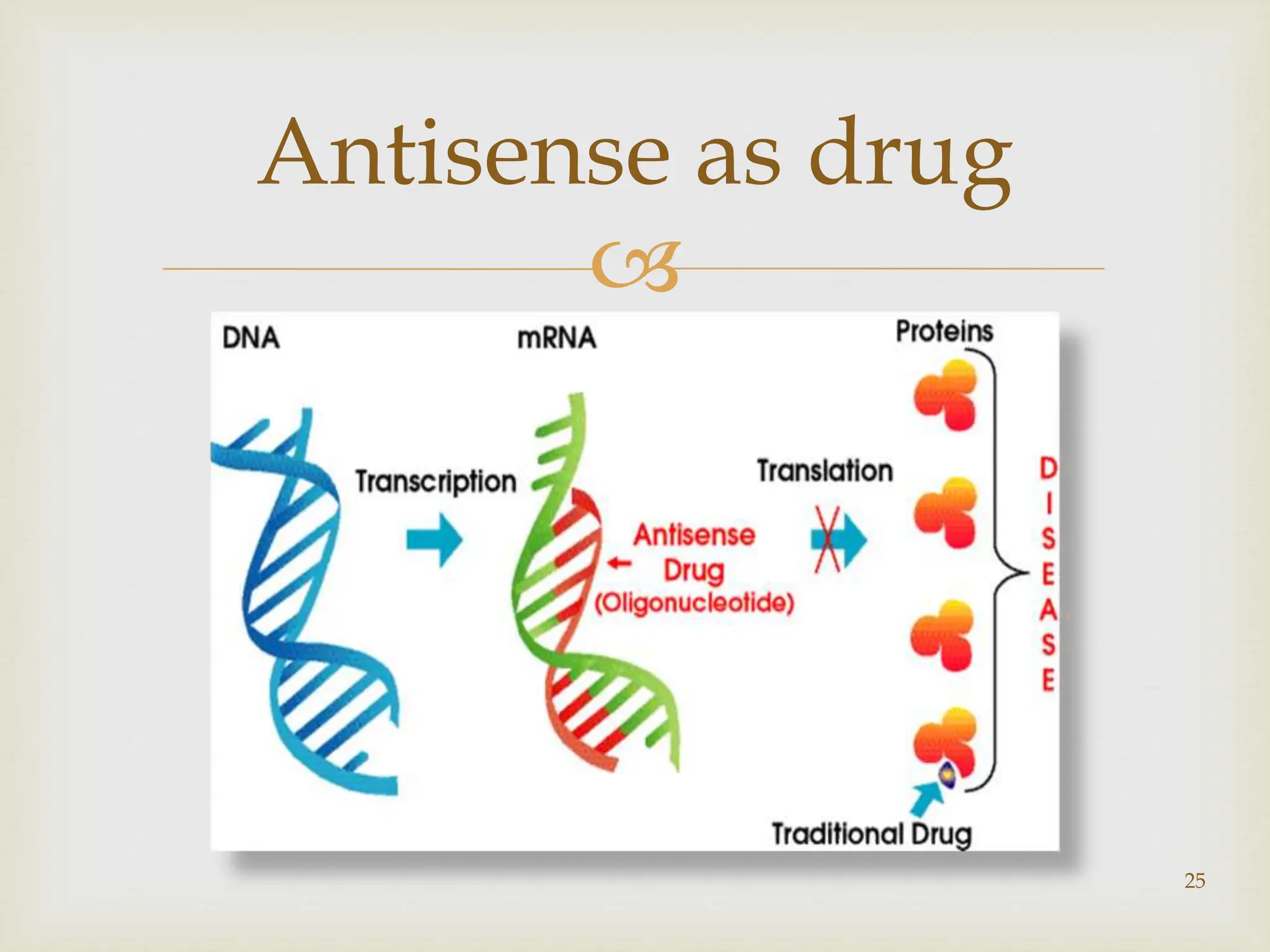 
25
Antisense as drug
 