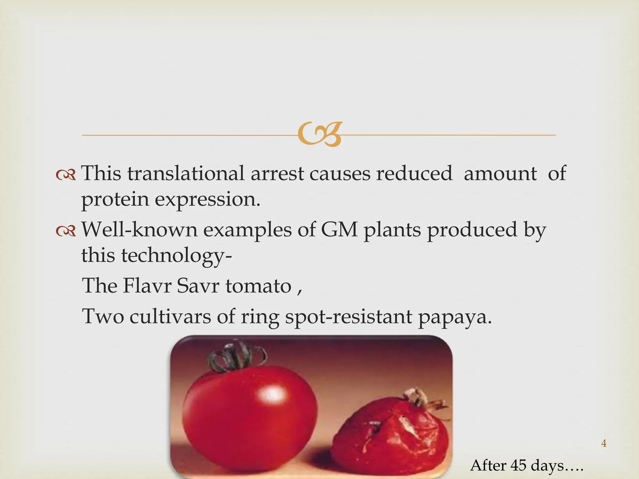 
 This translational arrest causes reduced amount of
protein expression.
 Well-known examples of GM plants produced by
this technology-
The Flavr Savr tomato ,
Two cultivars of ring spot-resistant papaya.
4
After 45 days….
 