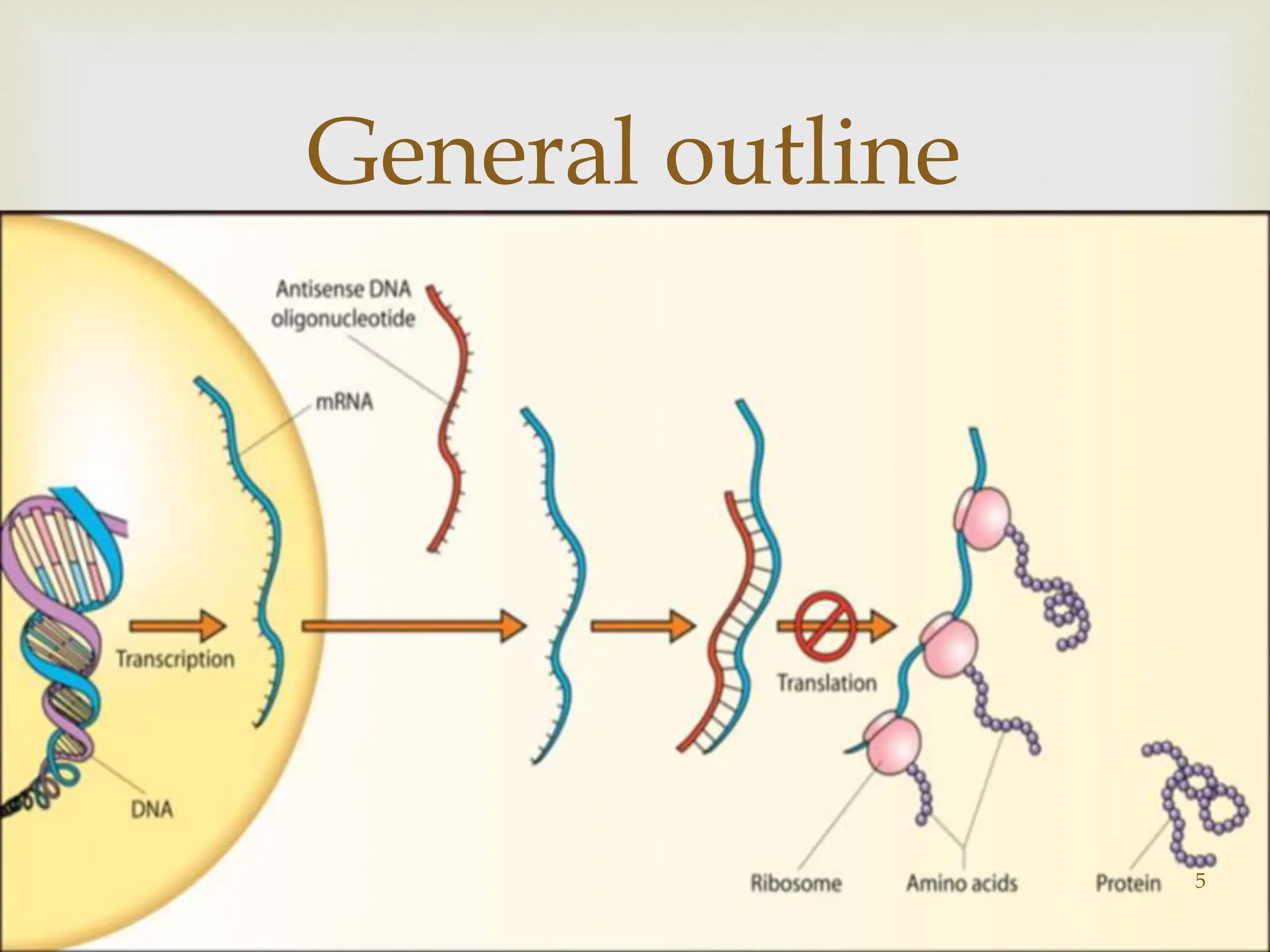 
General outline
5
 