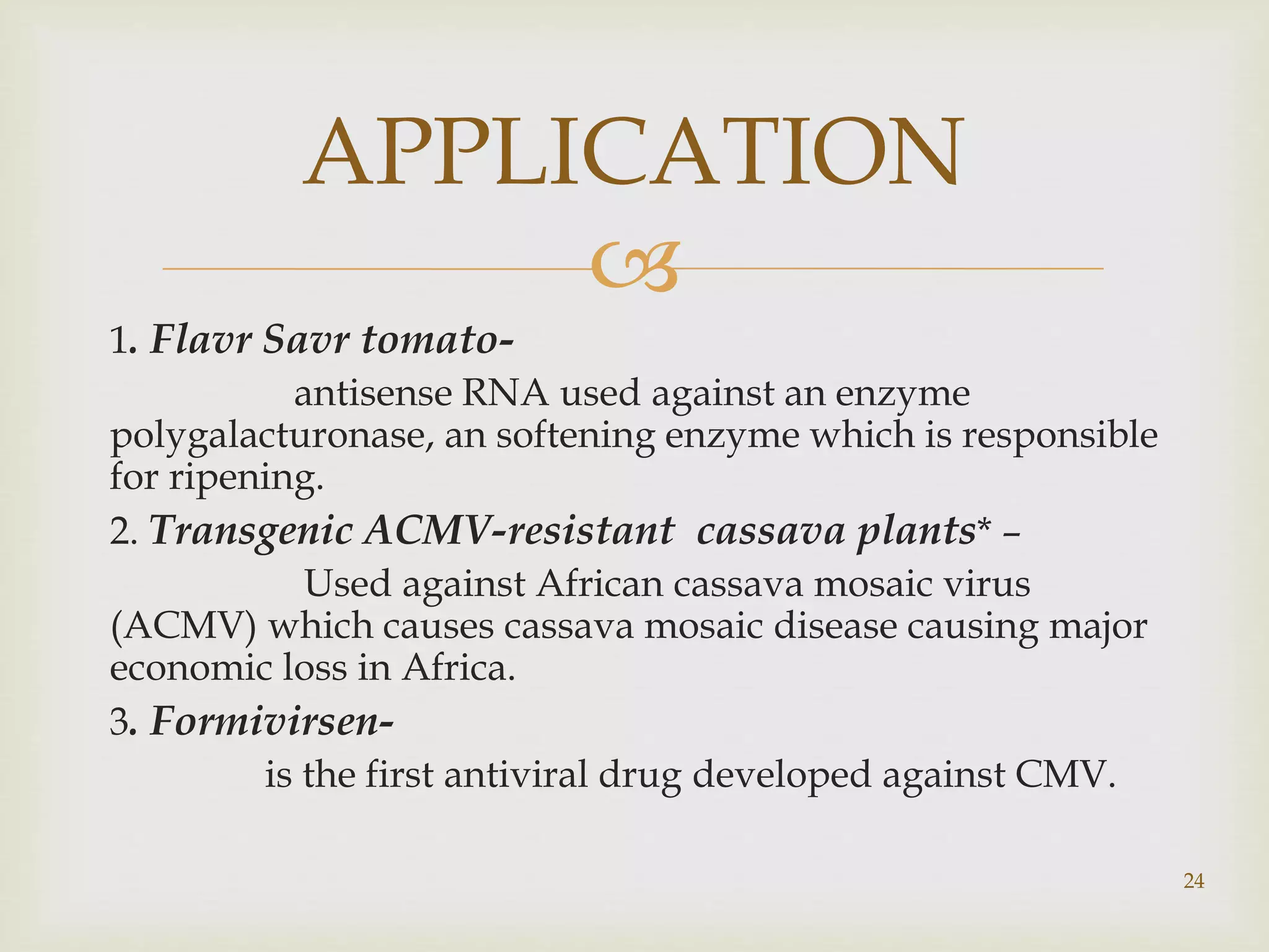 APPLICATION 
 
1. Flavr Savr tomato-antisense 
RNA used against an enzyme 
polygalacturonase, an softening enzyme which is responsible 
for ripening. 
2. Transgenic ACMV-resistant cassava plants* – 
Used against African cassava mosaic virus 
(ACMV) which causes cassava mosaic disease causing major 
economic loss in Africa. 
3. Formivirsen-is 
the first antiviral drug developed against CMV. 
24 
 