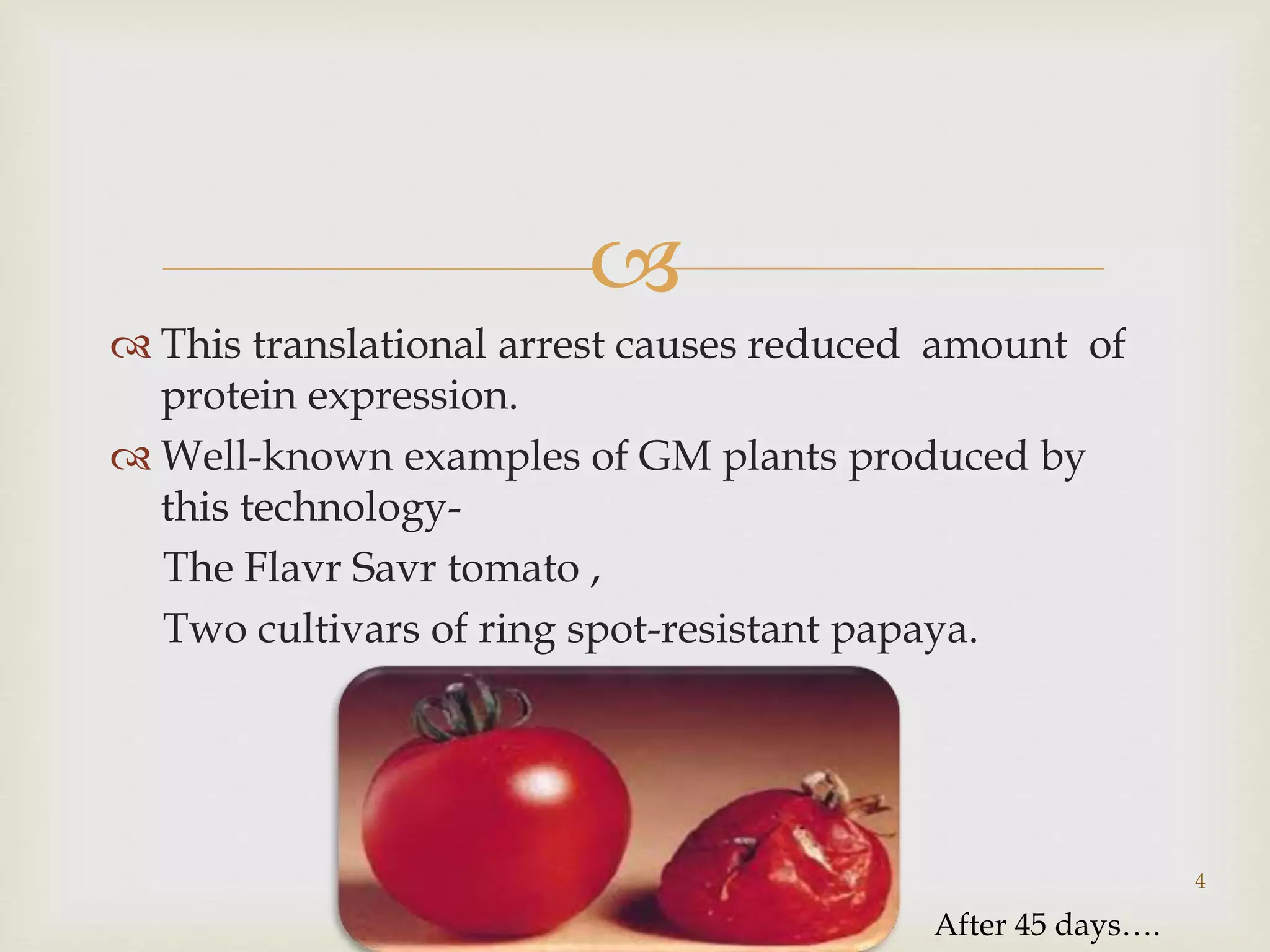  
 This translational arrest causes reduced amount of 
protein expression. 
 Well-known examples of GM plants produced by 
this technology- 
The Flavr Savr tomato , 
Two cultivars of ring spot-resistant papaya. 
4 
After 45 days…. 
 