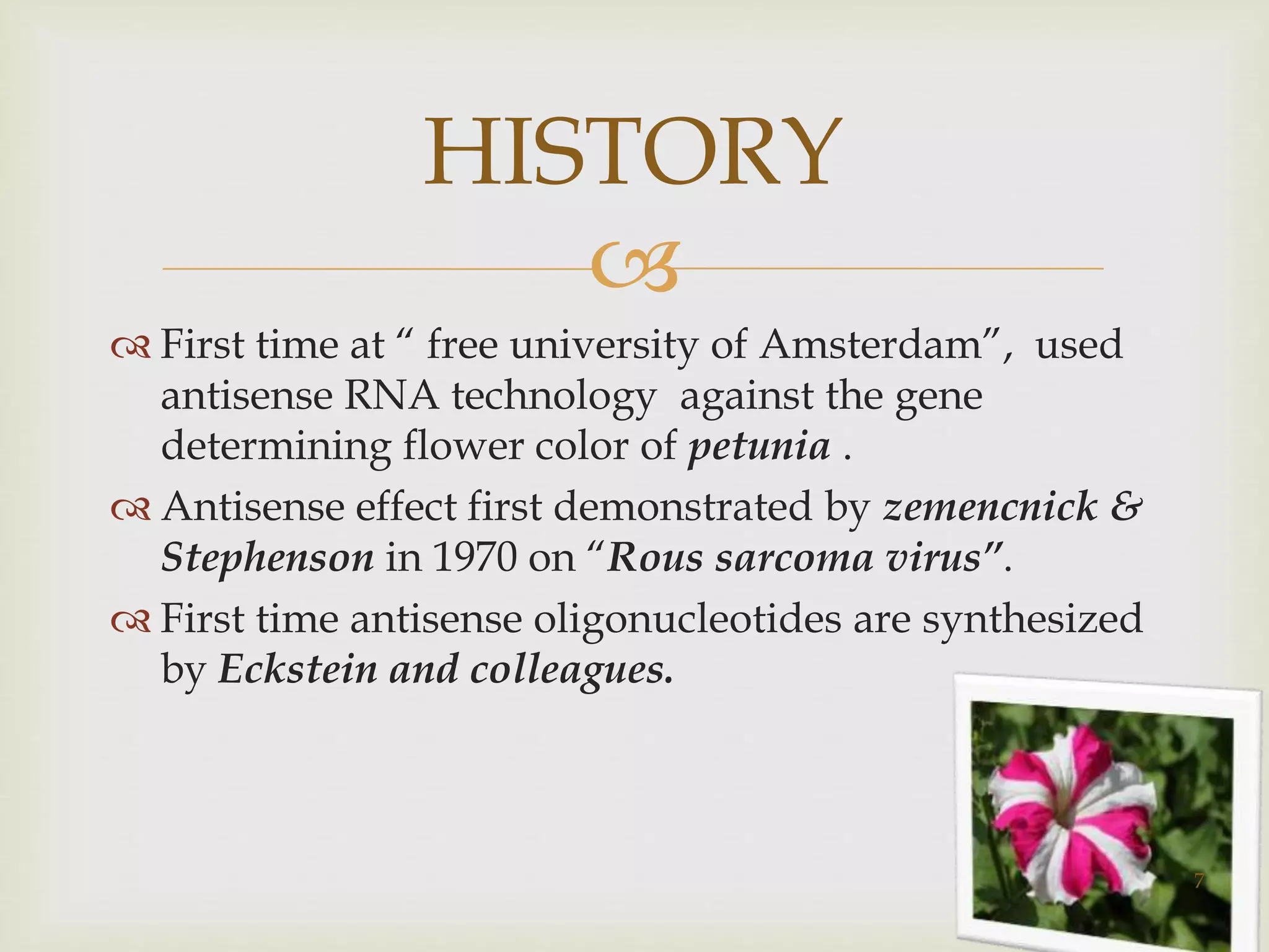 HISTORY 
 
 First time at “ free university of Amsterdam”, used 
antisense RNA technology against the gene 
determining flower color of petunia . 
 Antisense effect first demonstrated by zemencnick & 
Stephenson in 1970 on “Rous sarcoma virus”. 
 First time antisense oligonucleotides are synthesized 
by Eckstein and colleagues. 
7 
 