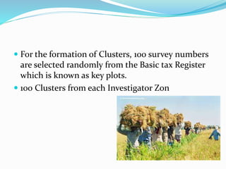  For the formation of Clusters, 100 survey numbers
are selected randomly from the Basic tax Register
which is known as key plots.
 100 Clusters from each Investigator Zon
 