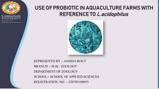 REPRESENTD BY :- ANISHA ROUT
BRANCH :- M.SC. ZOOLOGY
DEPARTMENT OF ZOOLOGY
SCHOOL:- SCHOOL OF APPLIED SCIENCES
REGISTRATION. NO. :- 220705180055
USE OF PROBIOTIC IN AQUACULTURE FARMS WITH
REFERENCE TO L.acidophilus
 
