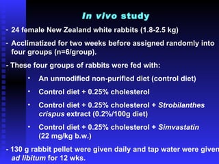 In Vivo Study Rabbit M.Sc. VIVA UPM - NURHAFZAN ANIS ISMAIL | PPT