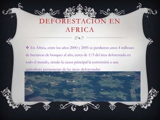 DEFORESTACION EN
             AFRICA

 En África, entre los años 2000 y 2005 se perdieron unos 4 millones
de hectáreas de bosques al año, cerca de 1/3 del área deforestada en
todo el mundo, siendo la causa principal la conversión a una
agricultura permanente de las áreas deforestadas
 