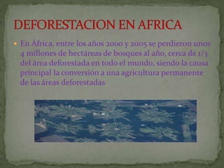  En África, entre los años 2000 y 2005 se perdieron unos
 4 millones de hectáreas de bosques al año, cerca de 1/3
 del área deforestada en todo el mundo, siendo la causa
 principal la conversión a una agricultura permanente
 de las áreas deforestadas
 