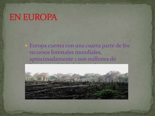  Europa cuenta con una cuarta parte de los
 recursos forestales mundiales,
 aproximadamente 1 000 millones de
 hectáreas, el 81% de las cuales se
 encuentran en la Federación de Rusia.
 