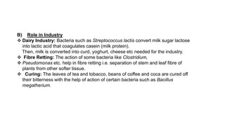 B) Role in Industry
 Dairy Industry: Bacteria such as Streptococcus lactis convert milk sugar lactose
into lactic acid that coagulates casein (milk protein).
Then, milk is converted into curd, yoghurt, cheese etc needed for the industry.
 Fibre Retting: The action of some bacteria like Clostridium,
 Pseudomonas etc. help in fibre retting i.e. separation of stem and leaf fibre of
plants from other softer tissue.
 Curing: The leaves of tea and tobacco, beans of coffee and coca are cured off
their bitterness with the help of action of certain bacteria such as Bacillus
megatherium.
 