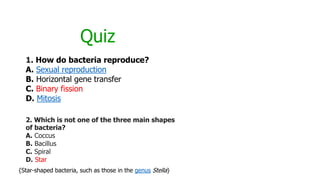1. How do bacteria reproduce?
A. Sexual reproduction
B. Horizontal gene transfer
C. Binary fission
D. Mitosis
Quiz
2. Which is not one of the three main shapes
of bacteria?
A. Coccus
B. Bacillus
C. Spiral
D. Star
{Star-shaped bacteria, such as those in the genus Stella}
 