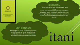 KELEBIHAN
1.modal dan petani yang membutuhkan akses
modal
2. tidak perlu dicampur dengan pupuk merk lain
lagi.karena pupuk merk kunci tani memiliki unsur
hara yang lengkap dalam satu kemasan saja dimana
pupuk ini cocok diaplikasikan pada semua jenis
tanaman
KEKURANGAN
kekurangan air dalam rangka meningkatkan
produktivitas lahan kering tanpa merusak
sumberdaya alam, diperlukan teknologi
pengelolaan irigasi yang efektif dan efisien
 